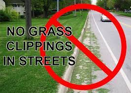 grass clippings left in street